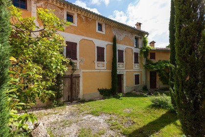 Opio