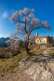 Castellane
