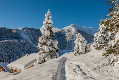 Auron