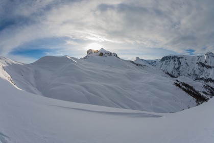 Auron