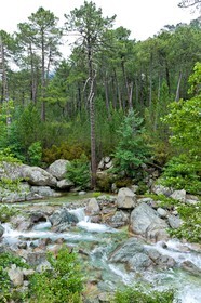 GR 20 Nord