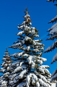 La Foux d'Allos