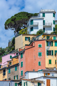 Cinque Terre