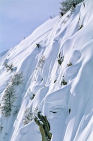 Snowboard