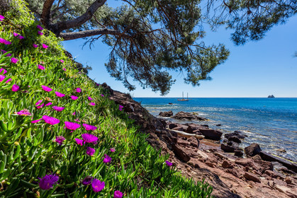 Plage de Fabrégas