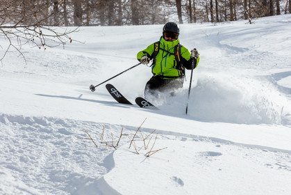Freeride