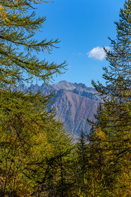 Col de la Moutière