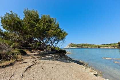 Ile du Grand Gaou