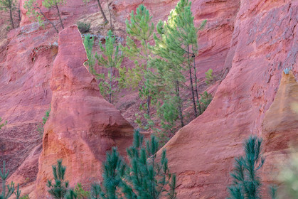 Roussillon