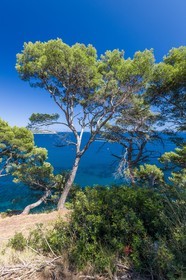 La Seyne-sur-Mer