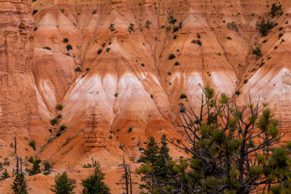 Bryce Canyon