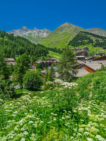 La Foux d'Allos