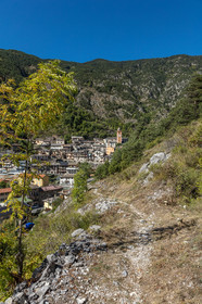 Tende