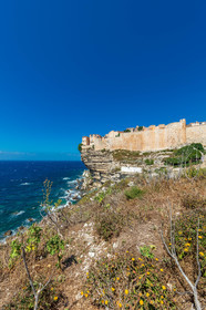 Bonifacio