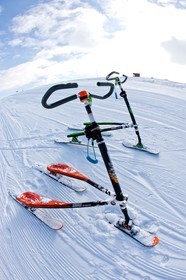 Trikke Skki