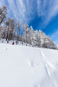 La Foux-d'Allos