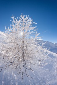 La Foux d'Allos