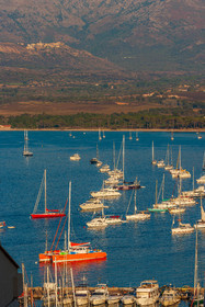 Calvi