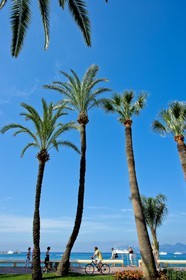 Cannes