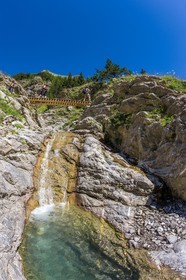 Allos