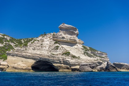 Bonifacio
