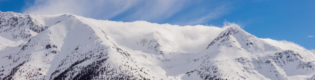 Auron
