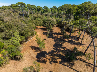 Lérins Sainte-Marguerite 2024