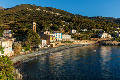 Lavasina