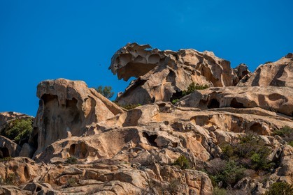 Capo d'Orso