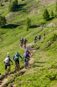 Vtt