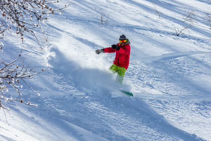 Snowboard