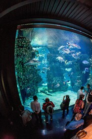 Musée Océanographique de Monaco