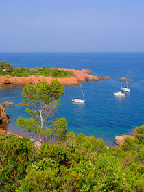 Estérel