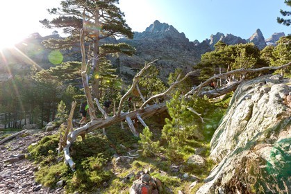 Monte Cinto