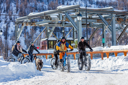 Fat Bike