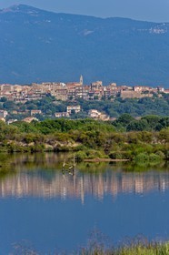 Porto Vecchio