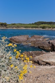 Ile du Grand Gaou