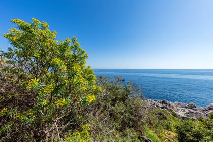 Roquebrune-Cap-Martin
