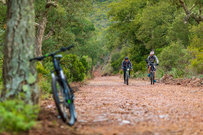 Bikingman
