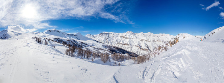 Auron