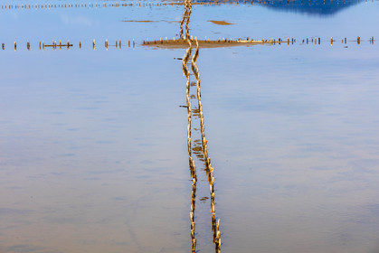 Salins d'Hyères