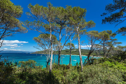 Porquerolles