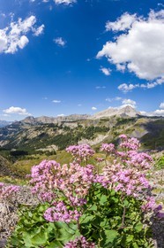 Col des Champs