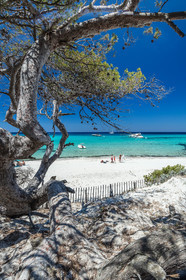 Saleccia