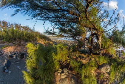Ile de La Réunion