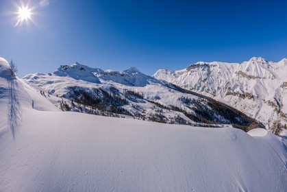 Auron