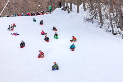 Luge