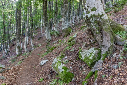 GR 20 Sud