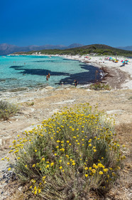 Saleccia