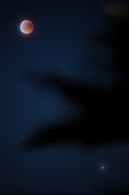 Lune rousse